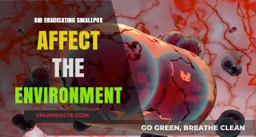 Smallpox Eradication's Environmental Impact: Unintended Consequences Explored