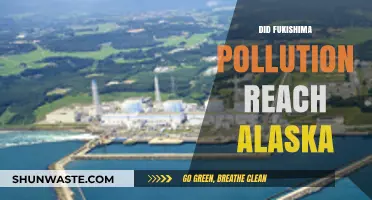 Fukushima Fallout: Did Radiation Reach Alaska's Shores?