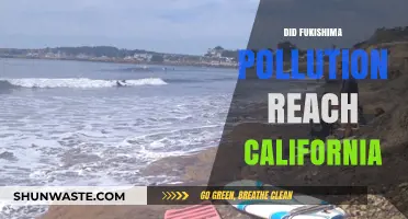 Fukushima's Reach: California's Radioactive Pollution