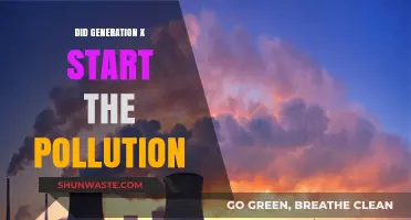 Gen X: The Pollution Generation?