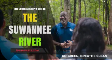 Georgia's Waste Dumping Scandal: Suwannee River Contamination Concerns