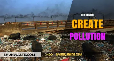 Human-Made Pollution: A Global Crisis