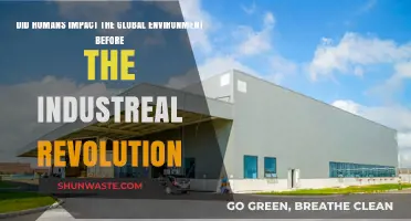 Pre-Industrial Human Activities: Shaping the Global Environment Before the Revolution