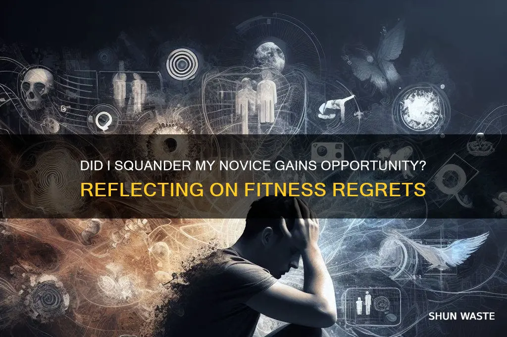 did i waste my chance at novice gains