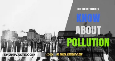 Industrialists' Awareness of Pollution: A Historical Perspective