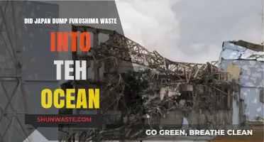Japan's Fukushima Waste Release: Ocean Dumping Concerns and Facts