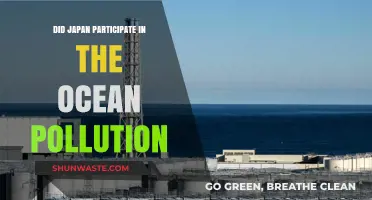 Japan's Ocean Pollution: A Historical Overview
