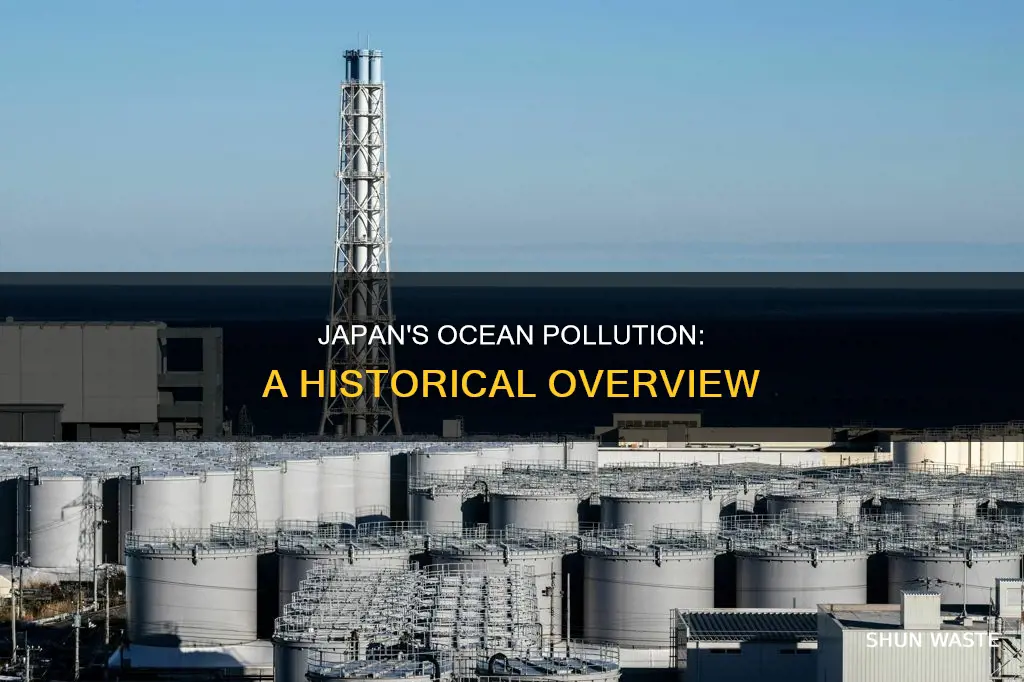 did japan participate in the ocean pollution