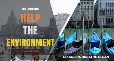 Lockdown's Environmental Impact: A Temporary Boost or Lasting Change?
