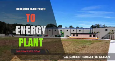 Marion's Decision: Rejecting the Waste-to-Energy Plant Proposal