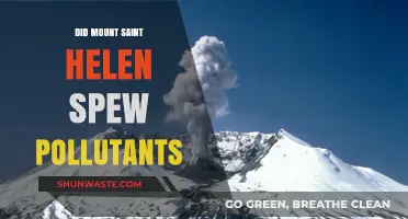 Mount St. Helens: Did the Volcano Pollute the Environment?