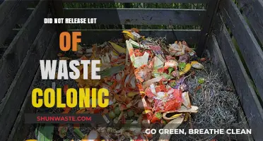 Minimizing Colonic Waste: Effective Strategies for a Healthier Digestive System