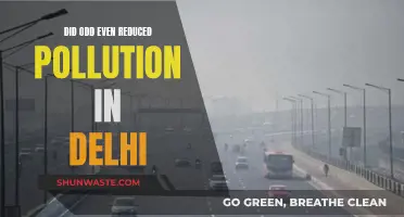 Delhi's Pollution: Did Odd-Even Rule Work?