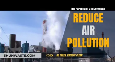 Savannah's Paper Mills: Reducing Air Pollution?