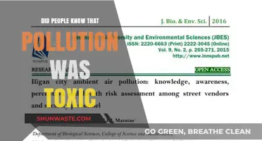 How Did We Discover Pollution's Toxic Nature?