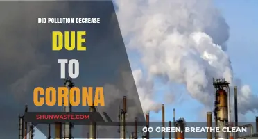 How COVID-19 Impacted Pollution Levels