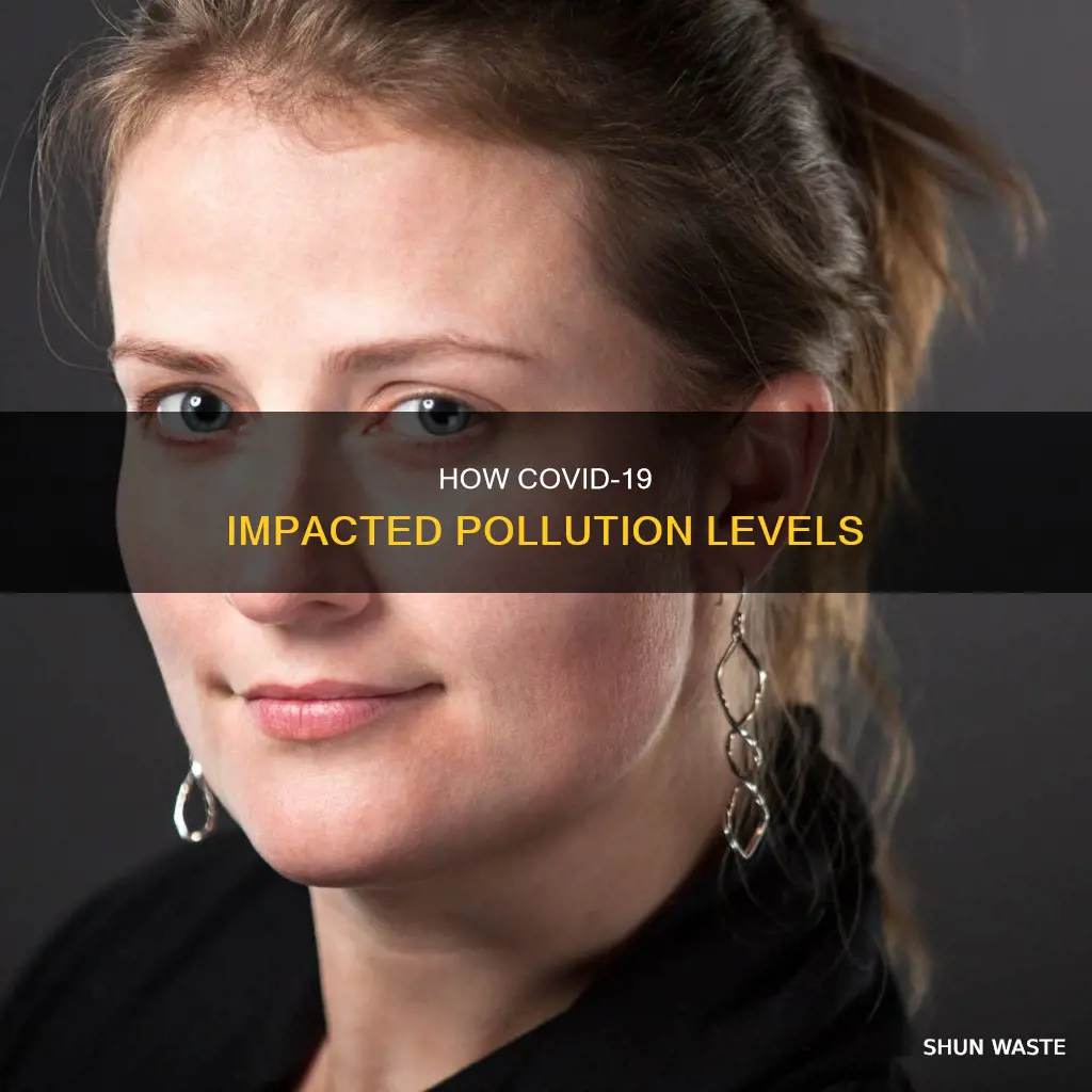 did pollution decrease due to corona