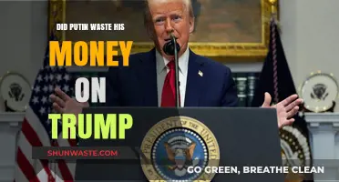 Putin's Trump Bet: A Costly Gamble or Strategic Blunder?