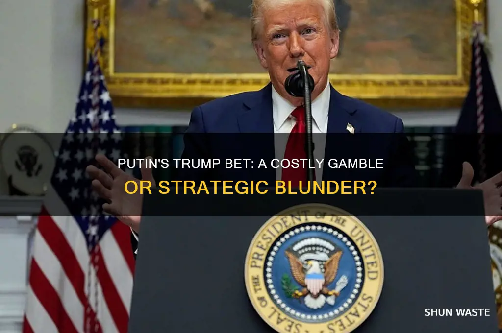 did putin waste his money on trump