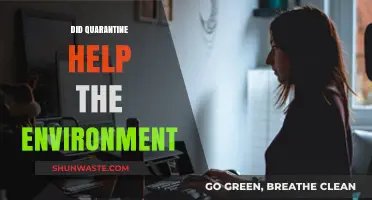 Quarantine's Impact: Did Lockdown Measures Benefit Our Environment?