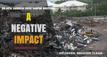 Royal Caribbean Waste Dumping: Environmental Impact and Consequences Explored