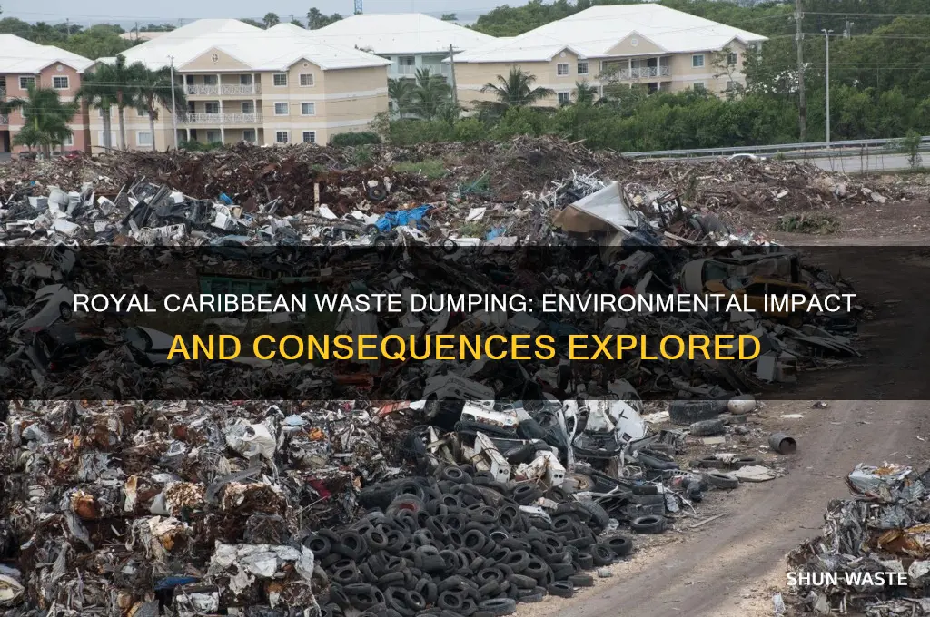 did royal caribbean cruise dumping waste have a negative impact