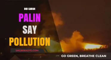 Sarah Palin's Controversial Take on Pollution: What Was Said?
