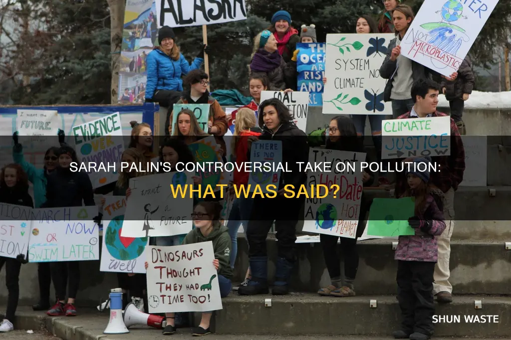 did sarah palin say pollution