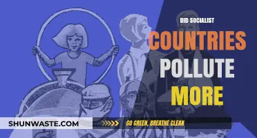 Socialism and Pollution: A Historical Perspective