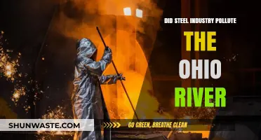 Steel Industry's Toxic Legacy in the Ohio River