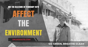 Blizzard of 1978: Environmental Impacts and Lasting Effects Explored