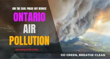 Ontario's Air: Coal Phase Out Impact