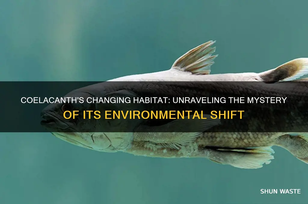 did the coelacanth fish environment change