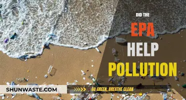 EPA's Impact: Pollution Control and Environmental Protection