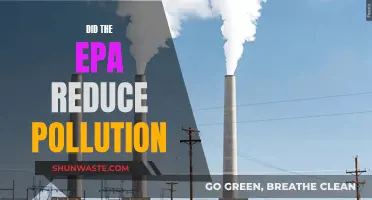 EPA's Pollution Reduction Efforts: Success or Failure?