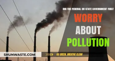 Pollution: Who First Cared, State or Federal?