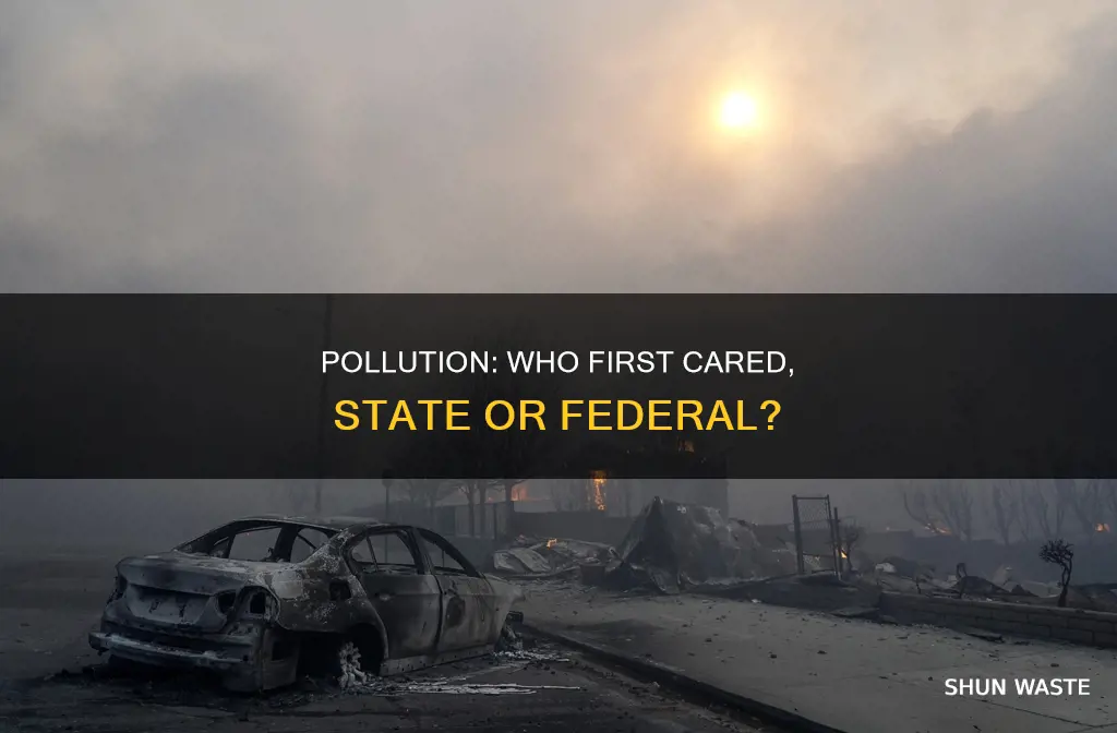 did the federal or state government first worry about pollution