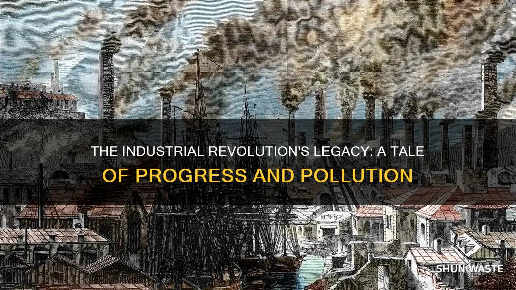 did the industrial revolution cause pollution