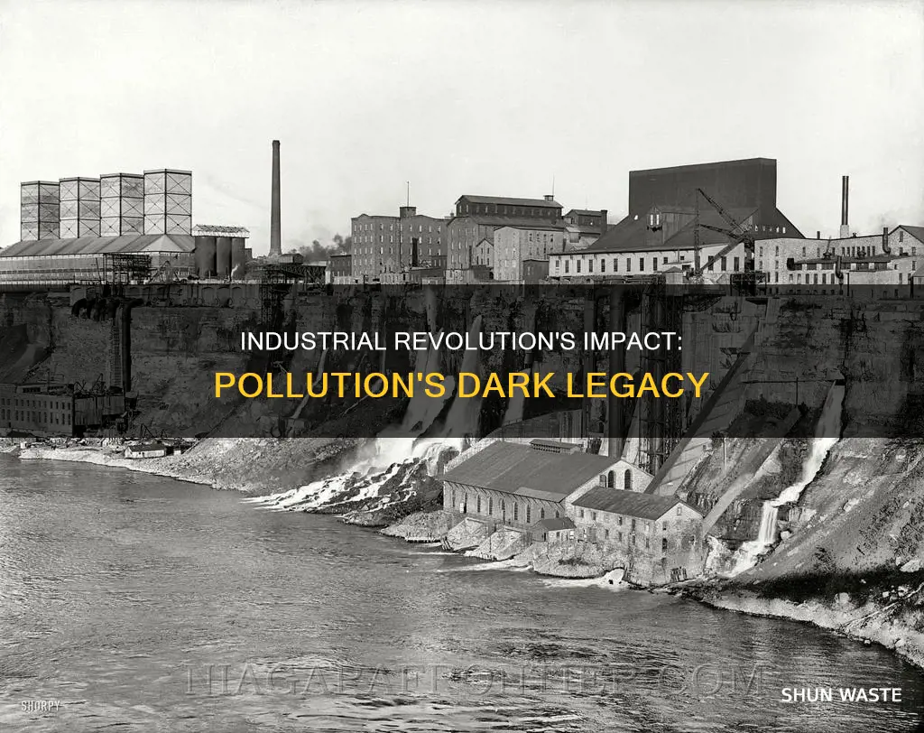 did the industrial revolution increase pollution