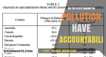 Kyoto Summit: Effective Accountability for Pollution?