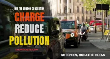 London's Congestion Charge: Effective Pollution Solution or Not?