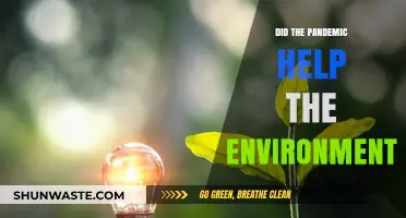 Pandemic's Silver Lining: Environmental Benefits Amid Global Crisis