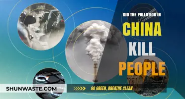China's Pollution Crisis: Deadly Impact