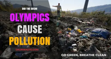 Sochi Olympics: Environmental Impact and Pollution Concerns