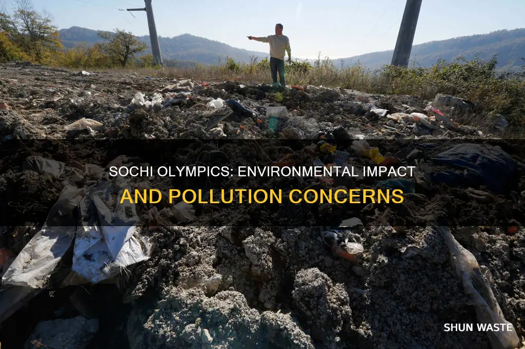 did the sochi olympics cause pollution