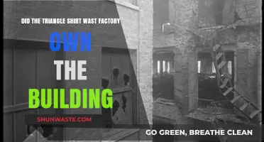 Who Owned the Triangle Shirtwaist Factory Building? Uncovering the Truth