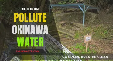 US Base's Environmental Impact: Did Okinawa's Waters Suffer?