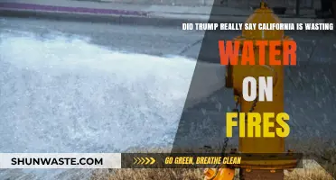 Trump's Claim: California Wasting Water on Fires? Fact-Checking the Statement