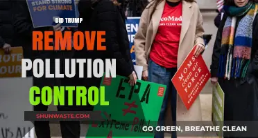 Trump's Pollution Control Rollback: What's the Real Impact?