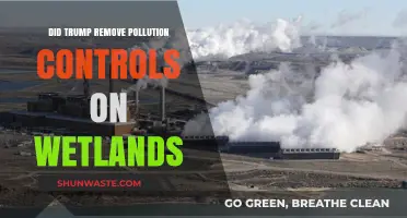 Trump's Wetlands: Pollution Control Rollbacks